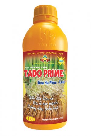 TADO PRIME (SIÊU HẠ PHÈN)