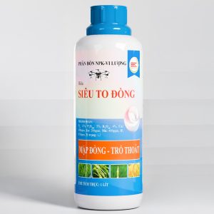 BSC SIÊU TO ĐÒNG (TADO DIAMOND) - MẬP ĐÒNG – TRỔ THOÁT